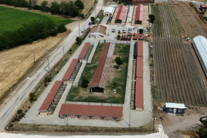 Can Dostların Yaşam Alanları Büyütülüyor