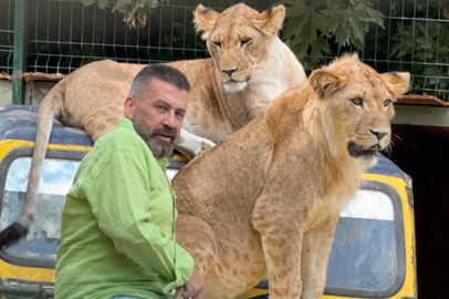 Çiftçiye Saldıran Aslanın Sahibi: "İnsanlara Saldırmazdı, Sosyal Bir Hayvandı"