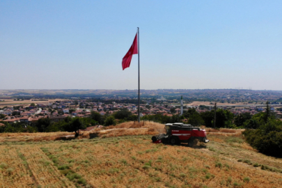 Edirne Belediyesi Nohut Hasadını Gerçekleştirdi