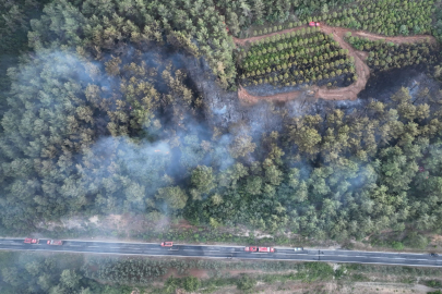 Bayramiç'teki Orman Yangını Kontrol Altına Alındı