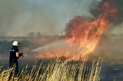 Edirne’de Anız Yangını Paniğe Neden Oldu