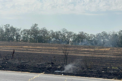 Tekirdağ'da Otluk Alanda Çıkan Yangın Söndürüldü