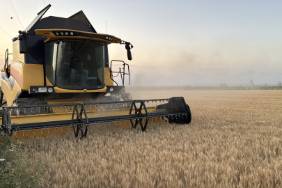 Trakya'da Buğday Hasadında Sona Yaklaşıldı