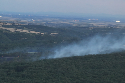 Edirne'de Ormanlık Alanda Çıkan Yangın Söndürüldü