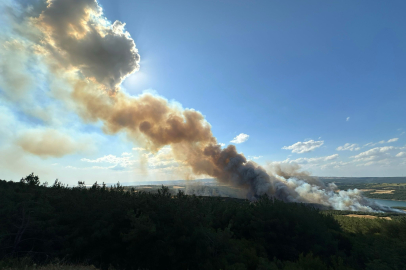 Tekirdağ'da Orman Yangınına Havadan ve Karadan Müdahale Ediliyor