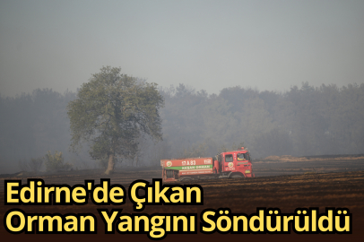 Edirne'de Çıkan Orman Yangını Söndürüldü