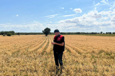 Vize’de Nohut Projesi Kapsamında Üreticilere Teknik Destek