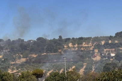 Çanakkale'de Orman Dışı Alanda Çıkan Yangın Kontrol Altına Alındı