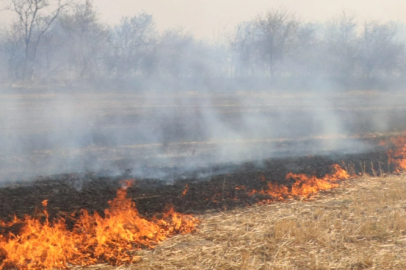 Edirne'de Anız Yangını Söndürüldü