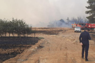 Vali Sezer Yangın Bölgesinde İncelemelerde Bulundu