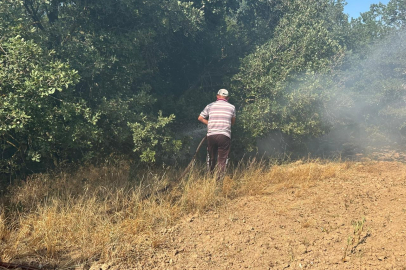 Kırklareli'nde Ağaçlık Alana Sıçrayan Anız Yangını Söndürüldü