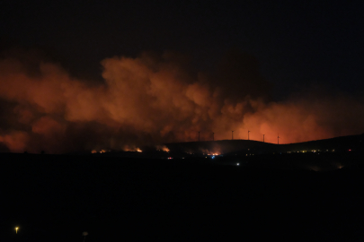 Şarköy'de Kontrolden Çıkan Anız Yangını Ormana Sıçradı