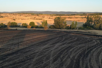 Tekirdağ’da 2 Bin 500 Dönüm Ekili Alan ve 200 Adet Arı Kovanı Yandı