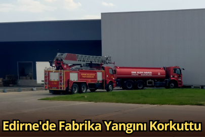 Edirne'de Fabrika Yangını Korkuttu