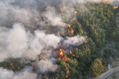 Orman Yangınına Havadan Müdahale Yeniden Başladı