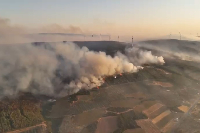 Şarköy'deki Orman Yangını Devam Ediyor