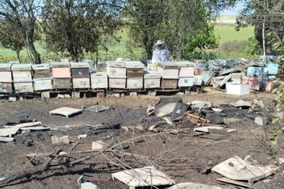 Tekirdağ'da Anız Yangınında 400 Arı Kovanı Zarar Gördü