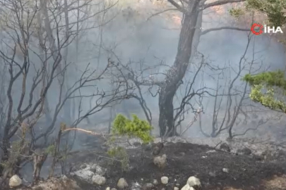 Çanakkale'de Park Halindeki Midibüste Çıkan Yangın Ormana Sıçradı