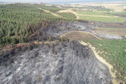 Tekirdağ'dan Çanakkale'ye Sıçrayan Yangında Zarar Gören Alanlar Dronla Görüntülendi
