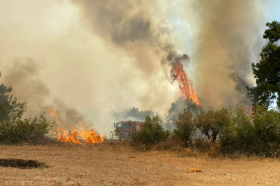 Çanakkale'de Orman Yangını Çıktı