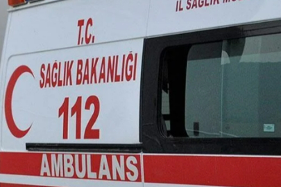 Köpeğe Çarpmamak İçin Kaza Yaptı