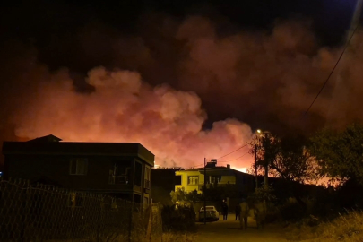 Şarköy'de Orman Yangınında Küle Dönen Alanın Öncesi ve Sonrası Yürek Burktu
