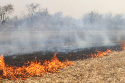 Edirne'de Çıkan Anız Yangını Söndürüldü