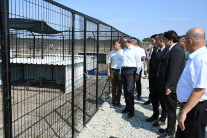 Vali Sezer, Uzunköprü’deki Sokak Hayvanları Doğal Yaşam Merkezini İnceledi