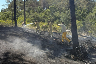 Edirne'de Çıkan Orman Yangını Söndürüldü