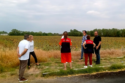 Pehlivanköy’de Ayçiçeği Tarlalarında Kuraklık İncelemesi