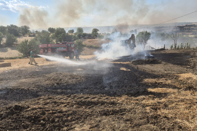 Tekirdağ'da Anızda Başlayıp Ağaçlığa Sıçrayan Yangın 60 Dekar Alana Zarar Verdi
