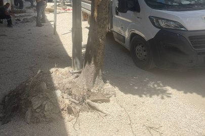 Keşan Belediyesi’nden Açıklama: Ağaçlar Güvenlik Gerekçesiyle Kaldırıldı