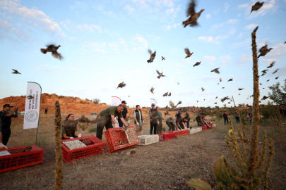 Kırklareli'nde 600 Keklik Doğaya Bırakıldı