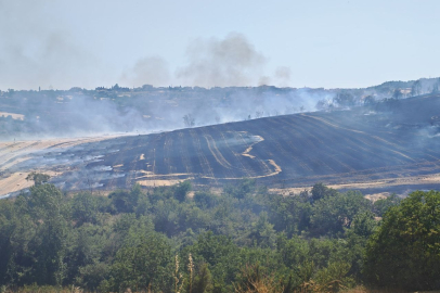 Malkara'da Anız Yangını 200 Dönümlük Arazide Tahribata Yol Açtı