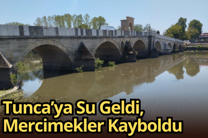 Tunca’ya Su Geldi, Mercimekler Kayboldu