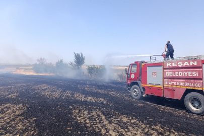 Edirne'de Çıkan Anız Yangını Söndürüldü