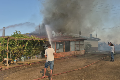 Edirne'de Köyde Çıkan Yangında 80 Küçükbaş Hayvan Telef Oldu