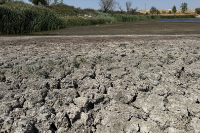 Tekirdağ'daki Müsellim Göleti'nin Su Seviyesi Azaldı