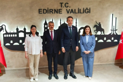 Bakan Bayraktar, Edirne Valiliği'nde