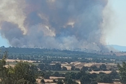 Bulgaristan'daki Orman Yangını Edirne Sınırına Dayandı