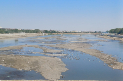 Meriç Nehri Artık Martı Adası Oldu