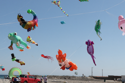 Tekirdağ'da "3. Trakya Uçurtma Festivali" Başladı