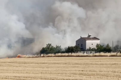 Tekirdağ'da Otluk Alanda Başlayıp Anıza Sıçrayan Yangın Söndürüldü