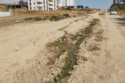 Yola Akan Kanalizasyon Mahalleliyi Tedirgin Ediyor