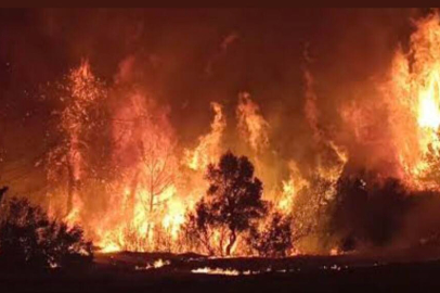 Başkan Ormankıran’dan Yangın Felaketlerine Duygusal Mesaj