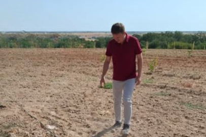 Lüleburgaz’da Sertifikalı Fidan Desteği Kontrolleri Sürüyor