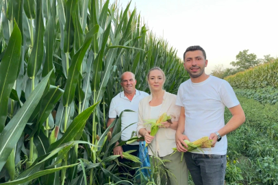 Taybıllı: “Çiftçimiz Eziliyor, Tarım Bitme Noktasında”