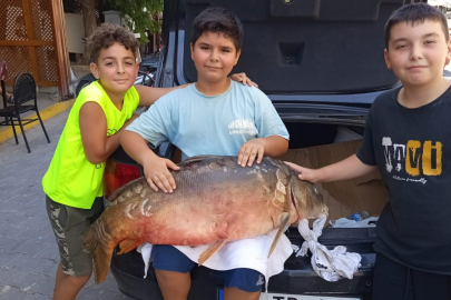 Tekirdağ'da Amatör Balıkçı 38 Kiloluk Sazan Yakaladı