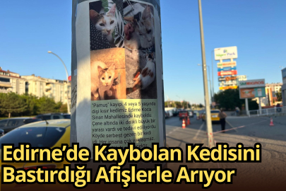 Edirne’de Kaybolan Kedisini Bastırdığı Afişlerle Arıyor