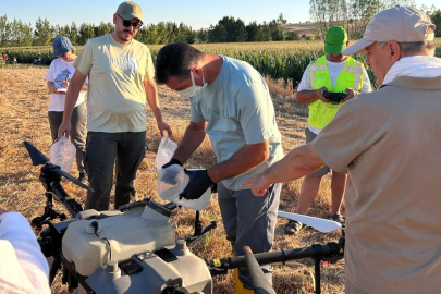 Kırklareli'nde Batı Mısır Kök Kurdu ile Mücadelede Drone Destekli Uygulama